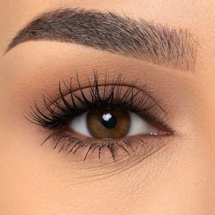 brown eyes makeup 12