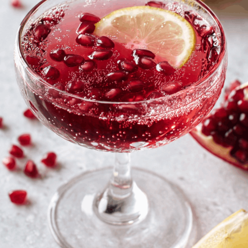 pomegranate gin fizz