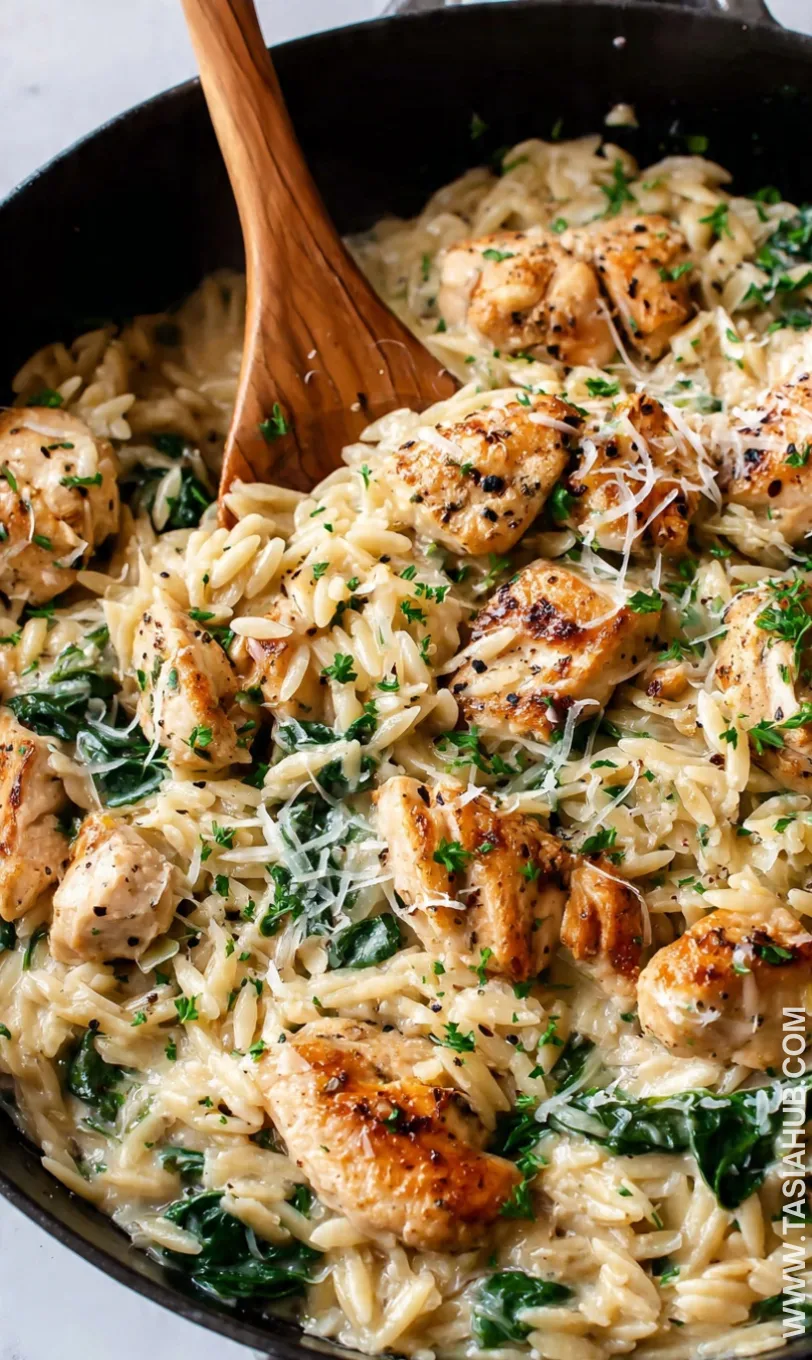creamy parmesan chicken and orzo